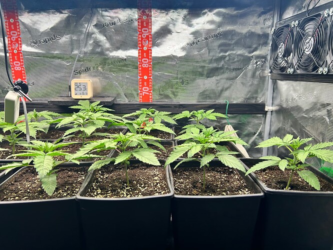 Growreport Bild 12