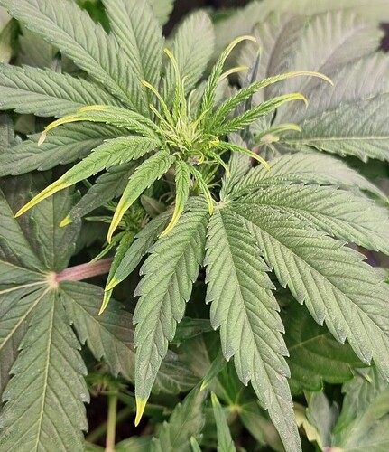 WhatsApp Image 2025-12-16 at 12.53.59 (1)