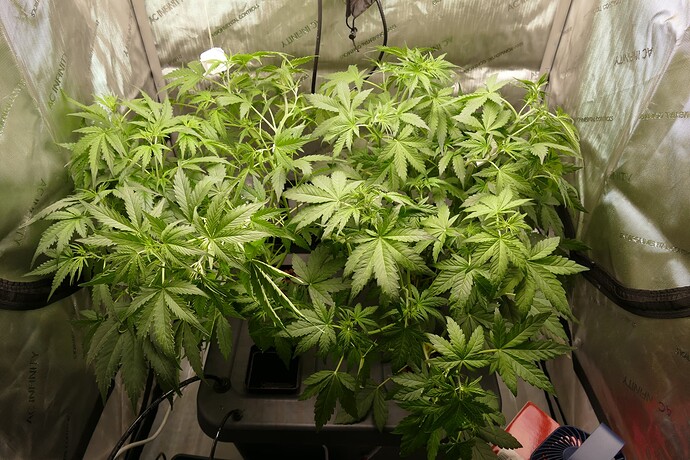 Growreport Bild 14