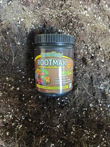 IMG-20240902-WA0039