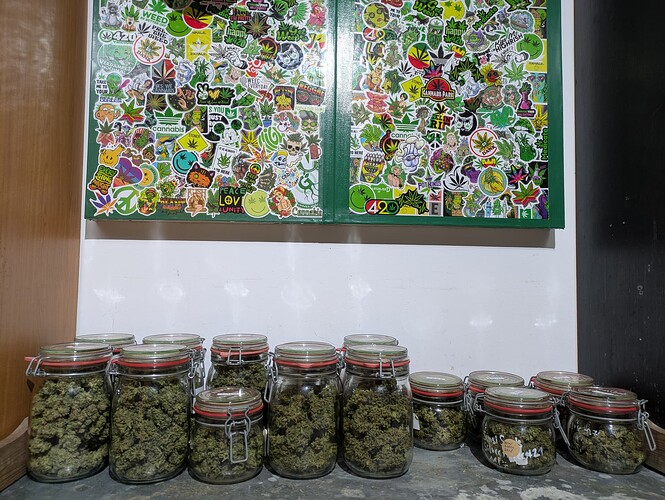 Growreport Bild 8