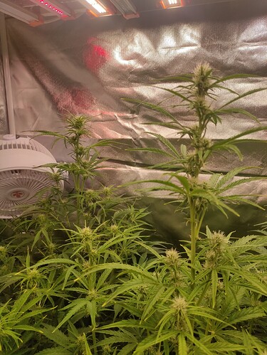 Growreport Bild 11