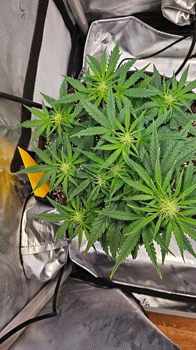 Growreport Bild 2