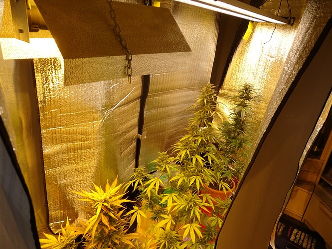 Growreport Bild 11