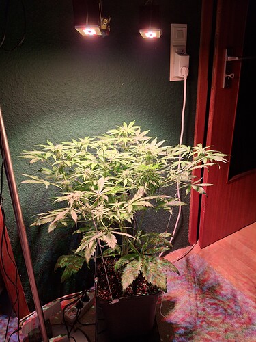 Growreport Bild 14
