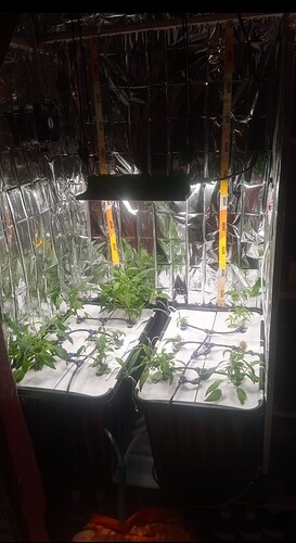 Screenshot_20250315_181304