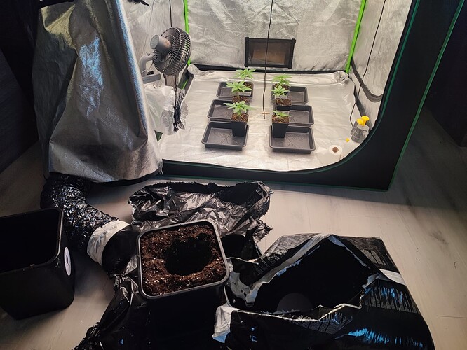 Growreport Bild 1