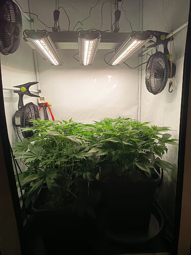 Growreport Bild 2