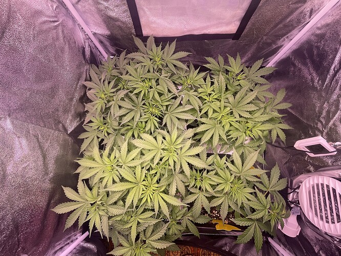 Growreport Bild 8