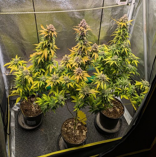 Growreport Bild 11