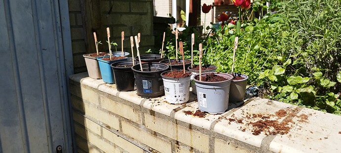 Growreport Bild 6