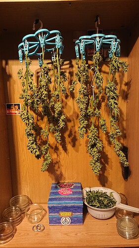 Growreport Bild 19