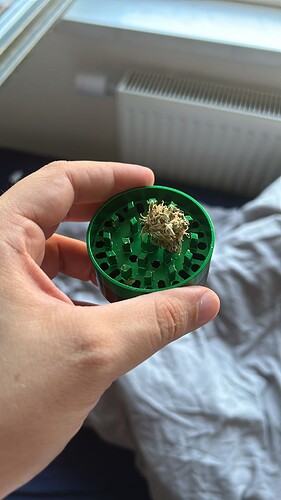 Growreport Bild 2