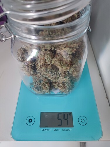 Growreport Bild 14
