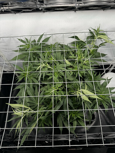 20240513_141849281_iOS