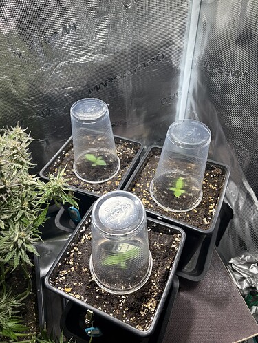 Growreport Bild 12