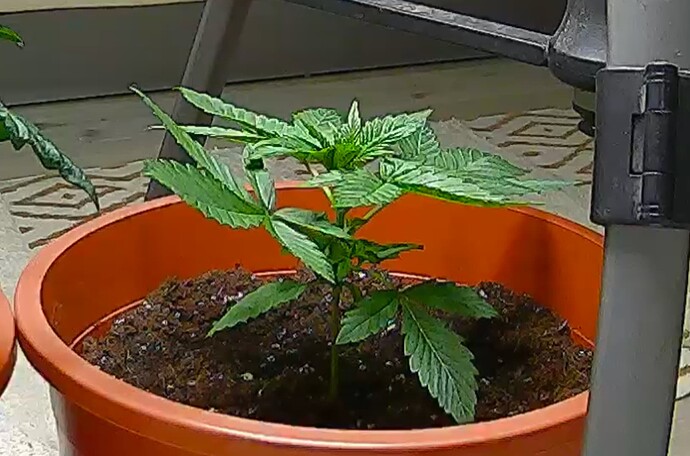 Screenshot_20240912-211133