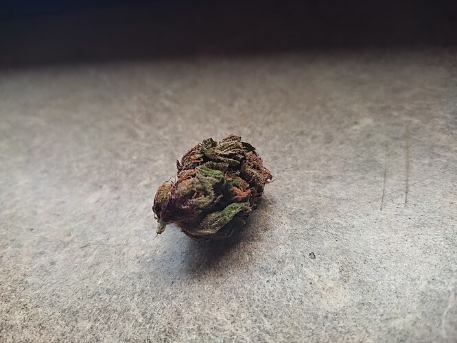Growreport Bild 83