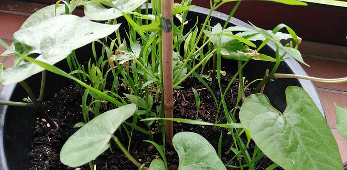 Growreport Bild 14