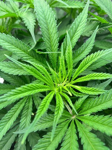 Growreport Bild 22