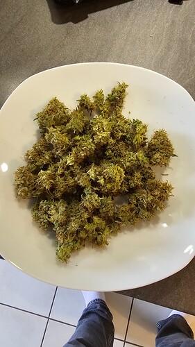 Growreport Bild 3