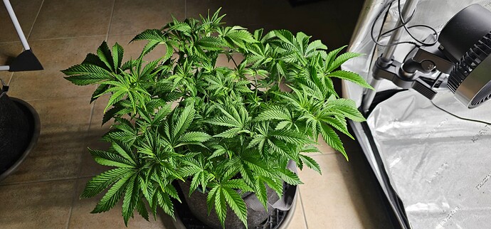 Growreport Bild 16