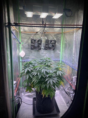 Growreport Bild 2
