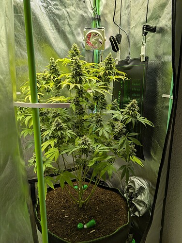 Growreport Bild 1