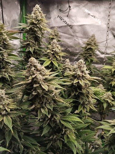 Growreport Bild 22