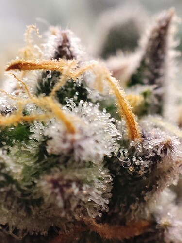 Growreport Bild 12