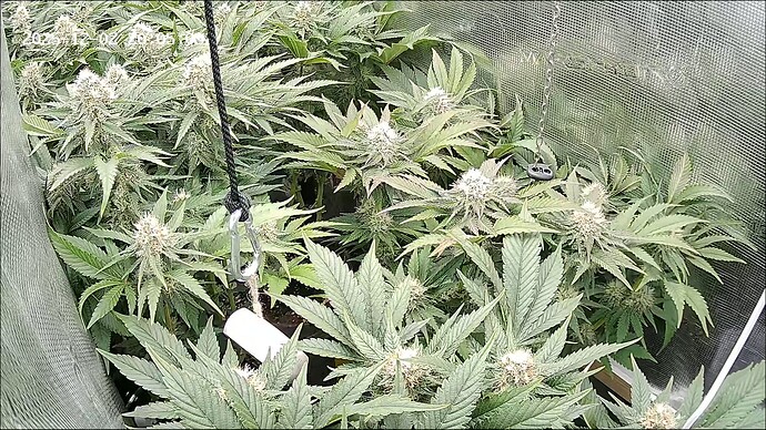 Growreport Bild 4