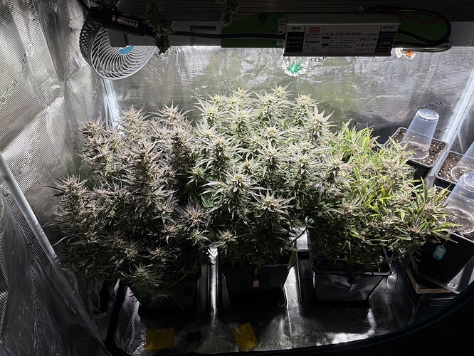 Growreport Bild 10