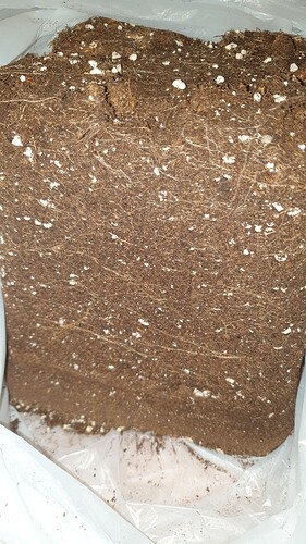 Growreport Bild 6