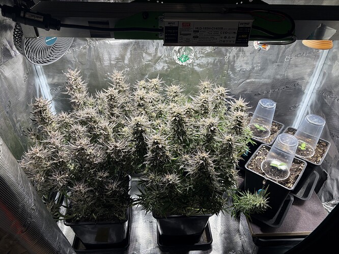 Growreport Bild 13