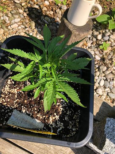 WhatsApp Image 2024-07-09 at 16.25.59