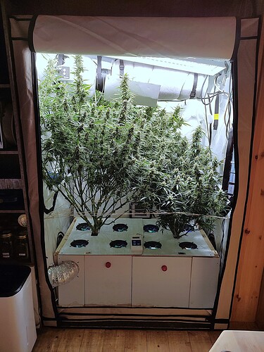 Growreport Bild 20