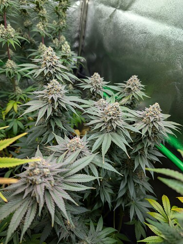 Growreport Bild 14