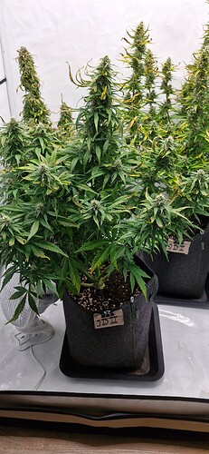 Growreport Bild 22