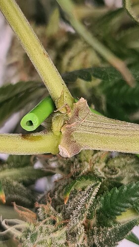 Growreport Bild 20