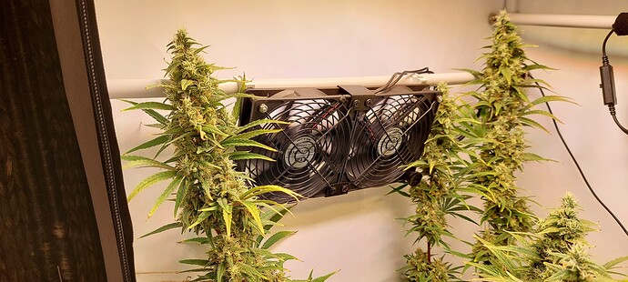 Growreport Bild 7