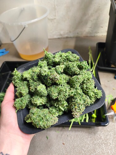 Growreport Bild 11