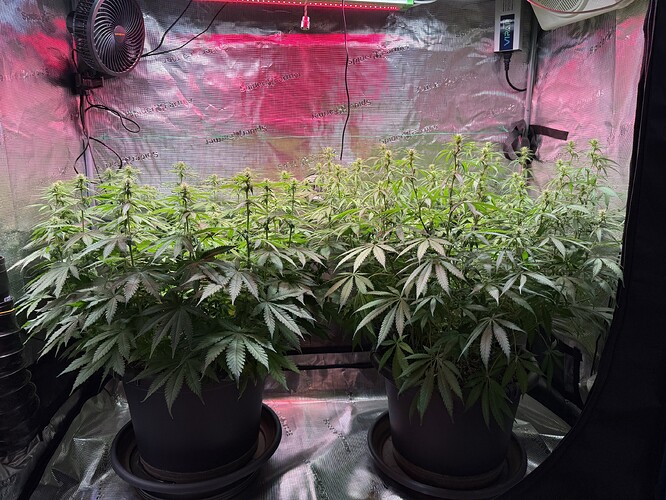 Growreport Bild 18