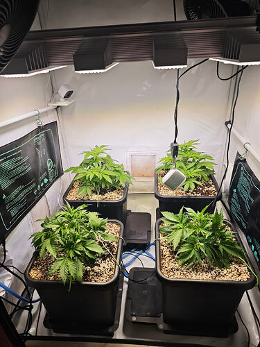 Growreport Bild 21
