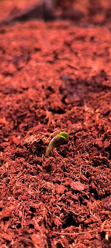 Growreport Bild 3