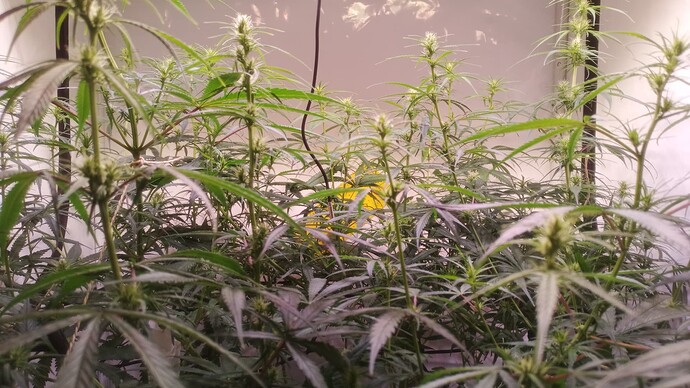 Growreport Bild 10