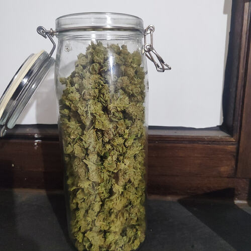 Growreport Bild 4