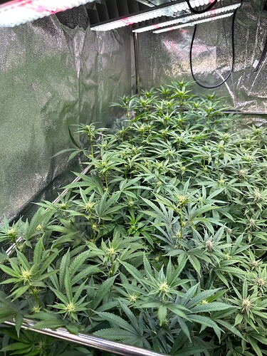 Growreport Bild 18