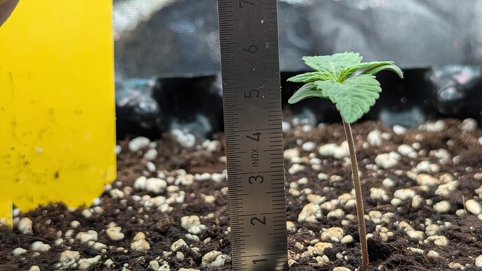 PXL_20240703_184833403