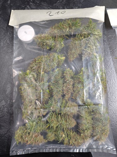 Growreport Bild 5