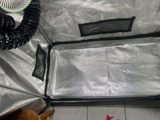 Growreport Bild 40